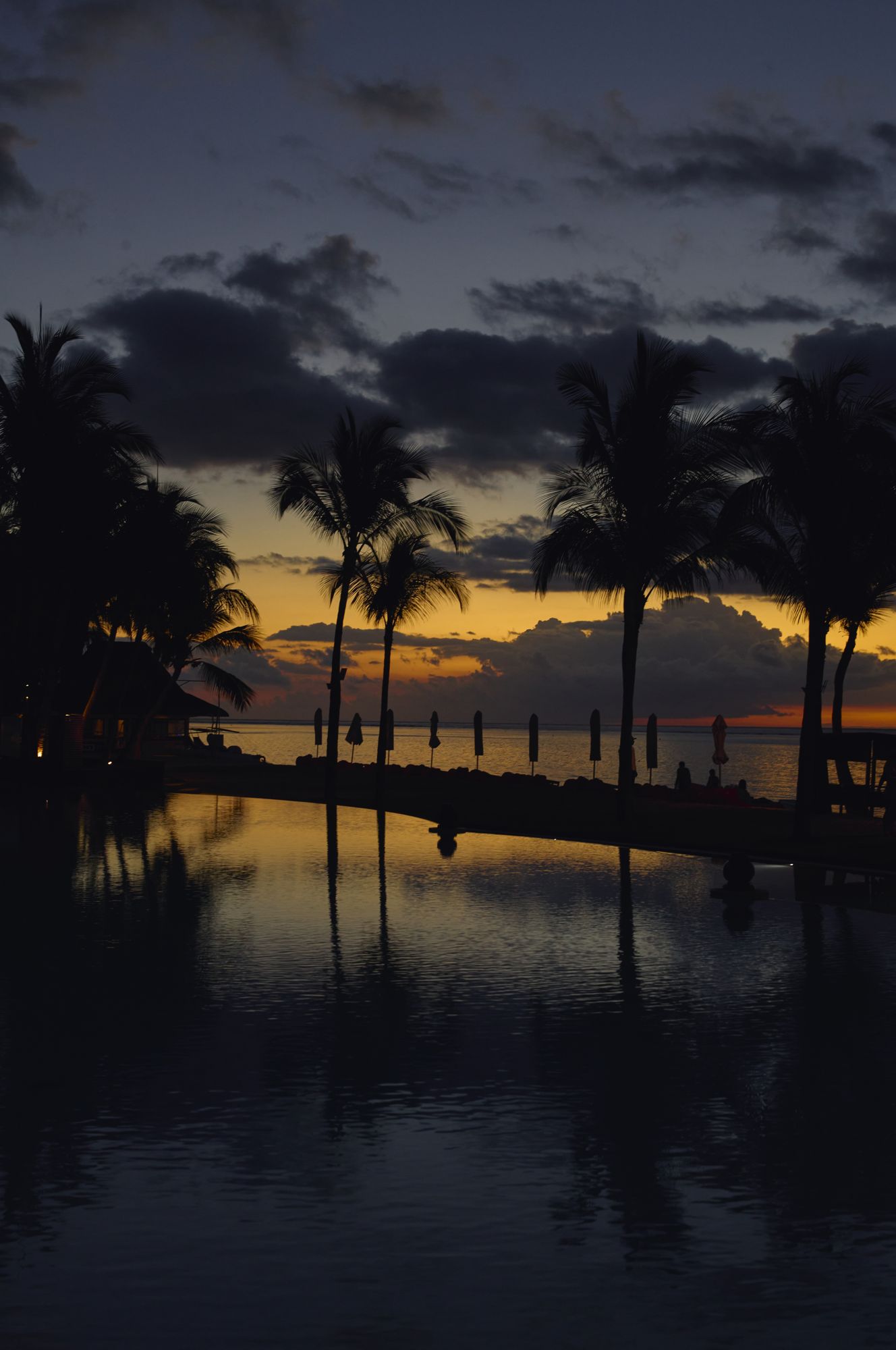 Palm silhouettes against a golden sunset over still water, Mauritius.